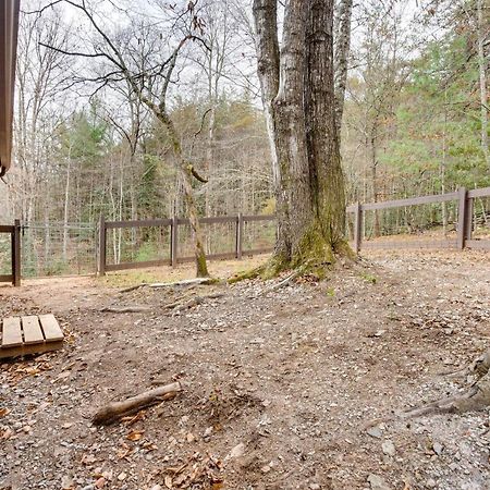 Peaceful Warne Cabin Fenced Yard And Screened Porch Brasstown ภายนอก รูปภาพ